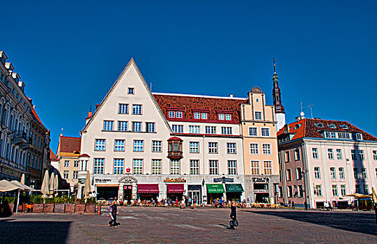 塔林,爱沙尼亚,老,大广场,古建筑