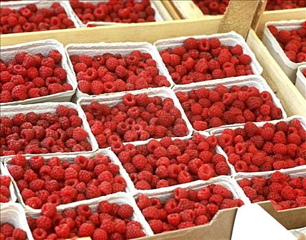 树莓,纸板,扁篮,市场