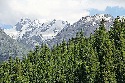 新疆天山天池