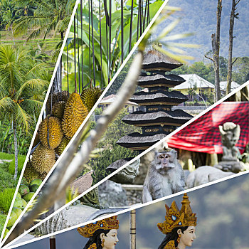 抽象拼贴画,巴厘岛,印度尼西亚,图像,旅行,背景,照片