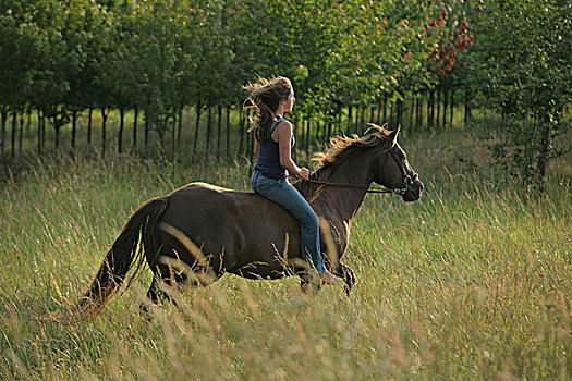 女青年,骑马,土地,俄勒冈,美国