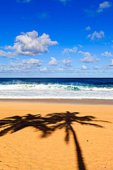影子,棕榈树,海滩,威美亚湾,北岸,夏威夷