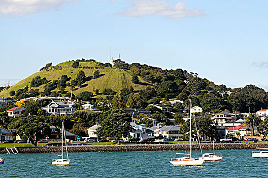奥克兰,新西兰