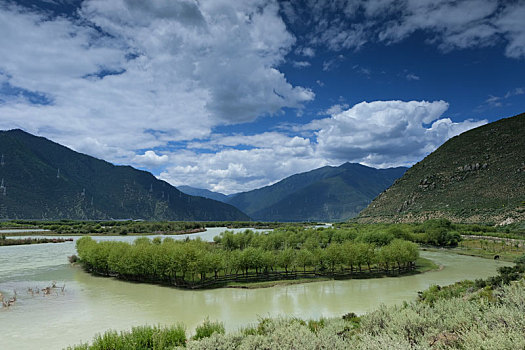 西藏雅尼湿地8