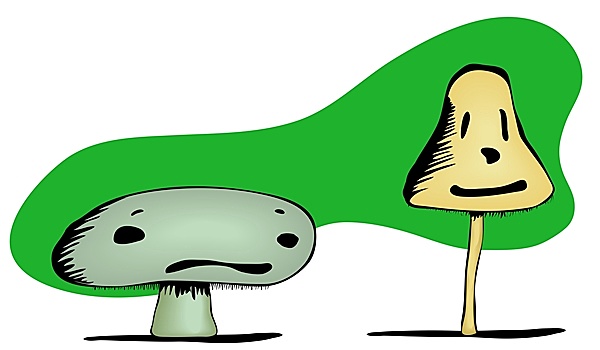 蘑菇,悲伤,高兴,脸