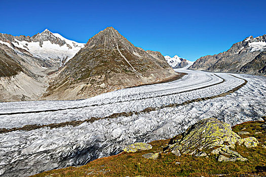 冰河,山,正面,背影,瓦莱州,瑞士,欧洲