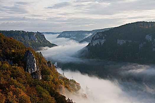 秋天,雾气,多瑙河,山谷,锡格马林根,巴登符腾堡,德国,欧洲