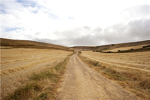 道路,西班牙,乡村