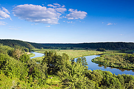 河,靠近,国家公园,立陶宛,欧洲