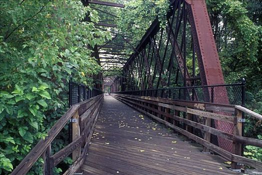 桥,河,轨道,小路,康涅狄格,州立公园,马萨诸塞,美国