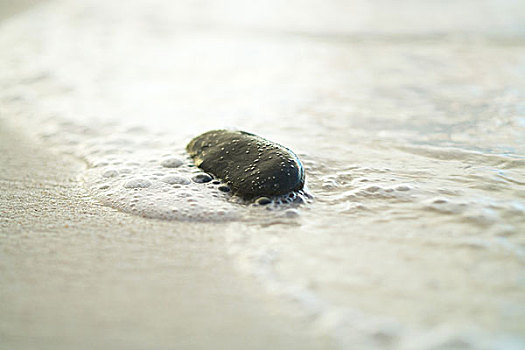 海滩,鹅卵石,海浪,特写