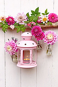 粉色,灯笼,花环,大丽花,小,瓶子,白色背景,木墙