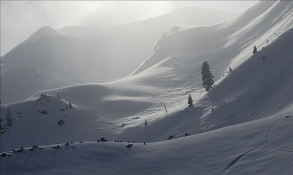 冰,薄雾,悬空,上方,新鲜,风景,阿尔卑斯山