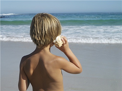 金发,男孩,5-7岁,站立,海滩,听,海洋,壳,看,地平线,上方,后视图
