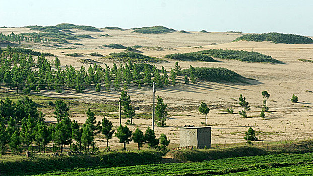 江西,井冈山,锦绣,大地,稻田,田园,乡村