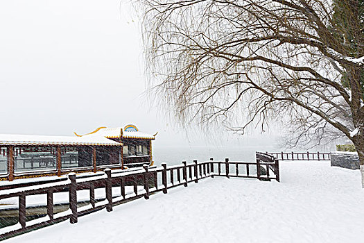 玄武湖雪景