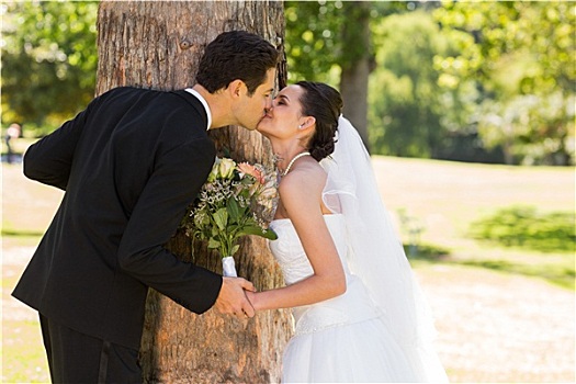 浪漫,新婚夫妇,吻,公园