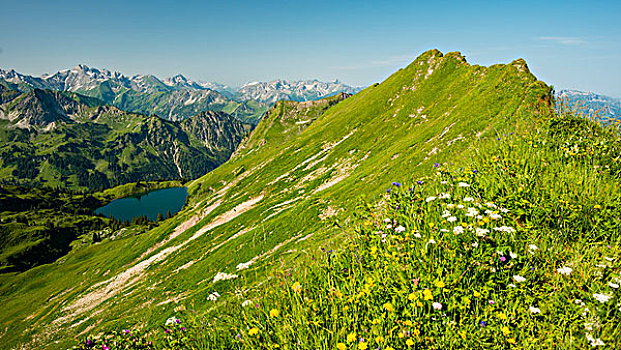 风景,湖,阿尔卑斯山,巴伐利亚,德国,欧洲