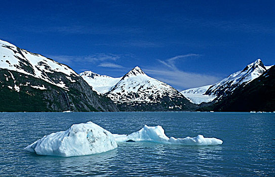 结冰,湖,冰山,水陆联运冰川,楚加奇国家森林,肯奈半岛,阿拉斯加,美国