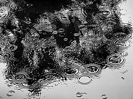 特写,雨滴,降落,水上,波纹