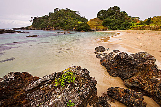石头,沙,海滩,半岛,北国,北岛,新西兰