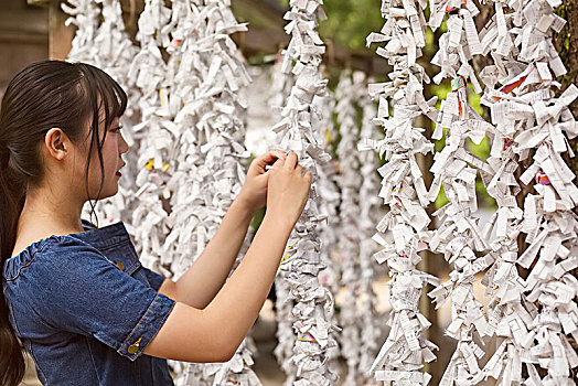 美女,穿,蓝色,衣服,系,占卜,纸,日本神道,神祠,福冈,日本