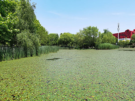 西安世园会湖泊全景