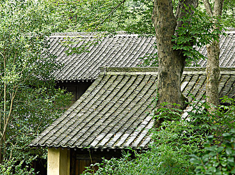 中国建筑,屋顶