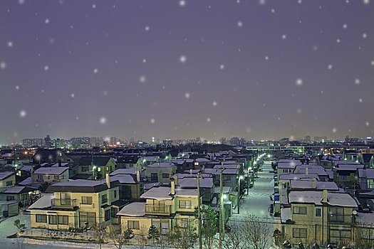 住宅,街道,冬天,夜晚