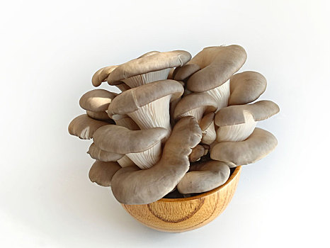 香菇,蘑菇