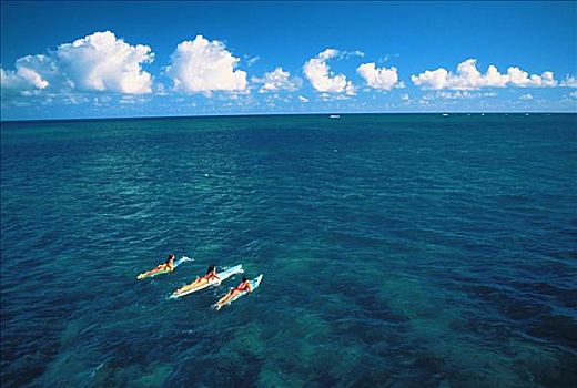 夏威夷,毛伊岛,三个女人,冲浪板,涉水,室外
