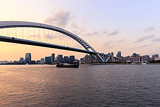 上海城市风光,卢浦大桥与黄浦江黄昏夜景
