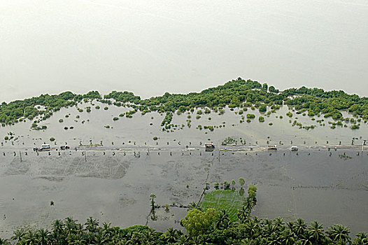 卡车,洪水,道路,沿岸地区,东方,斯里兰卡,一个,击打,海啸