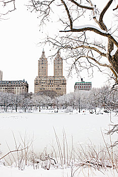 风景,圣雷莫,达科他,建筑,湖,冬天,中央公园,曼哈顿,纽约,美国