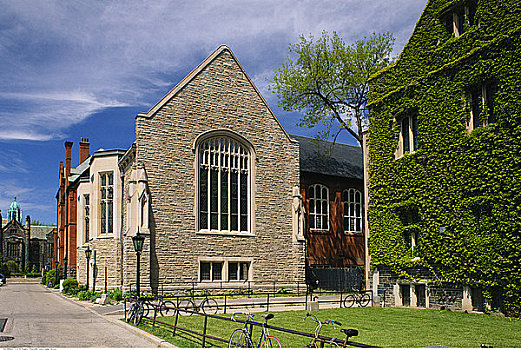 多伦多大学,多伦多,安大略省,加拿大