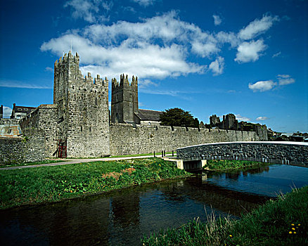 14世纪,城镇,墙壁,河,蒂帕雷里,爱尔兰