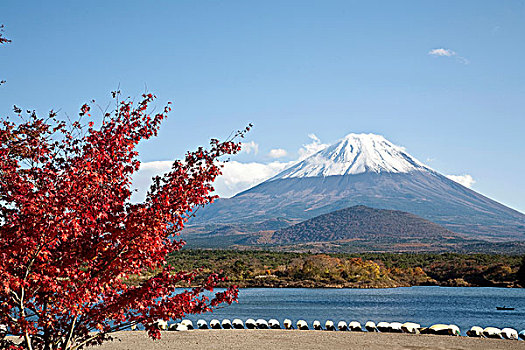 富士山,日本,亚洲