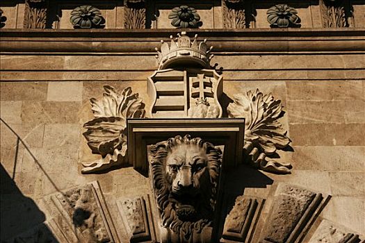 狮子,匈牙利,皇冠,盾徽,链索桥,布达佩斯,欧洲