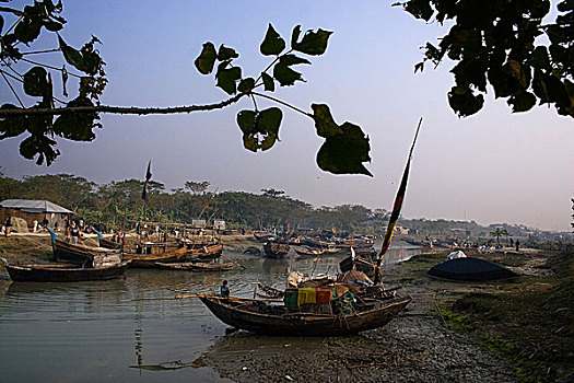 渔船,等待,旁侧,运河,旅途,深海,木豆,红点鲑,孟加拉,一月,2008年