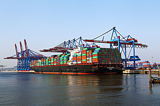 集装箱船,鹿特丹,集装箱码头,易北河,汉堡市,德国,欧洲