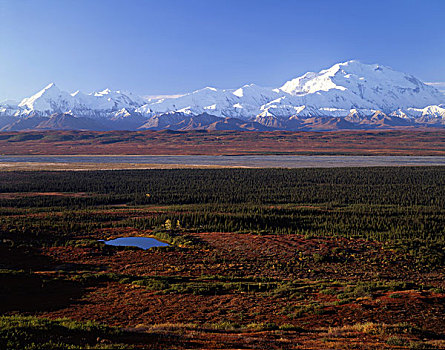 美国,阿拉斯加,麦金利山,秋天,德纳里峰国家公园