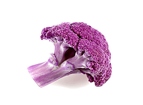紫色,花椰菜,白色背景