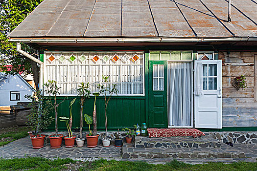 罗马尼亚,马拉穆列什,区域,特写,传统,房子