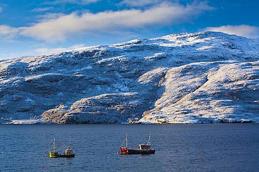 苏格兰,高地,早晨,冬景,渔船,靠近