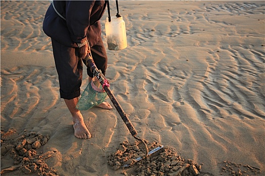 山东省日照市,老人扛着锄头扒蛤蜊,清晨里的海边风景如画
