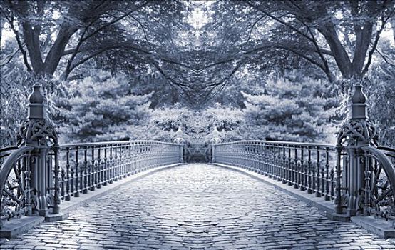 树,桥