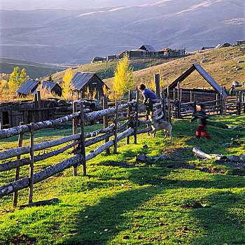 新疆白哈巴村