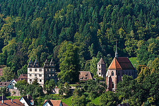 教堂,小教堂,黑森林,巴登符腾堡,德国,欧洲