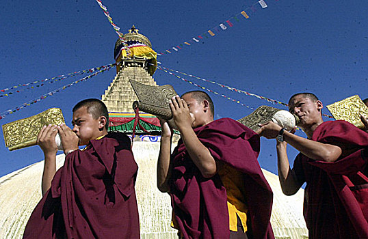 僧侣,玩,宗教,乐器,礼拜,世界,尼泊尔