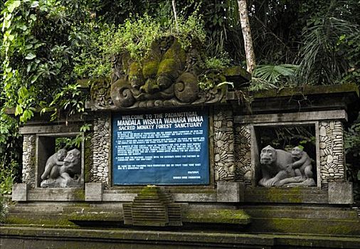 标识,入口,猴子,树林,巴厘岛,印度尼西亚,东南亚